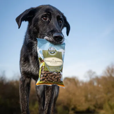 Bellfor Soft Snacks für Hunde mit Insekten - Landgut-Happen