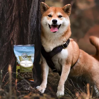Bellfor Soft Snacks für Hunde mit Lachs - Wildbach-Happen