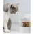 I love my cat Freeze-Snack für Katzen mit Lachsfilet I love my cat Freeze-Snack für Katzen mit Lachsfilet