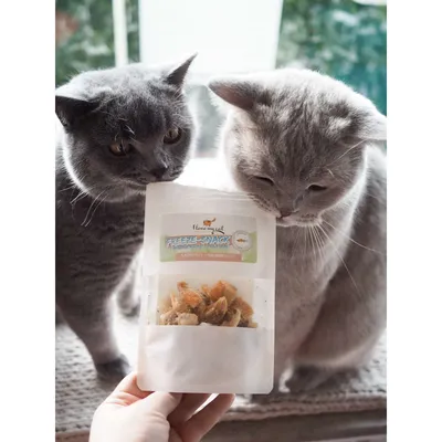 I love my cat Freeze-Snack für Katzen mit Lachsfilet I love my cat Freeze-Snack für Katzen mit Lachsfilet