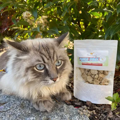 I love my cat Freeze-Snack für Katzen mit Hühnerherzen I love my cat Freeze-Snack für Katzen mit Hühnerherzen
