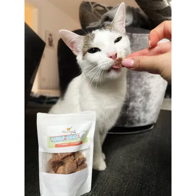 I love my cat Freeze-Snack für Katzen mit Entenbrust I love my cat Freeze-Snack für Katzen mit Entenbrust