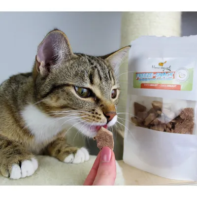 I love my cat Freeze-Snack für Katzen mit Entenbrust I love my cat Freeze-Snack für Katzen mit Entenbrust