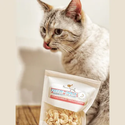 I love my cat Freeze-Snack für Katzen mit Grönlandgarnalen I love my cat Freeze-Snack für Katzen mit Grönlandgarnalen