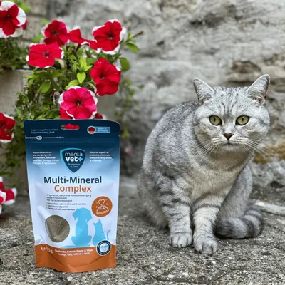 Marsavet Multi-Mineral Complex Pulver für Hunde, Katze und andere Haustiere Marsavet Multi-Mineral Complex Pulver für Hunde, Katze und andere Haustiere