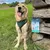Marsavet Dental Zahnpulver für Hunde, Katzen und Nagetiere Marsavet Dental Zahnpulver für Hunde, Katzen und Nagetiere