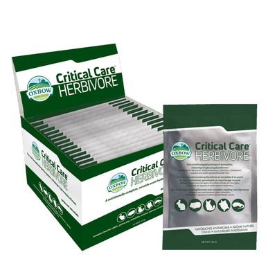 Critical Care mit Anis