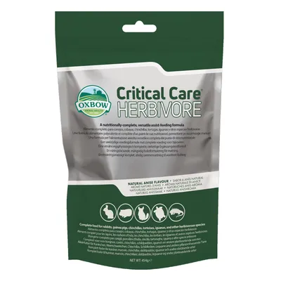 Critical Care mit Anis Critical Care mit Anis