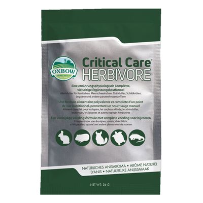Critical Care mit Anis