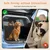 Nobleza Perro Barrera para coche Barrera Protectora de Coche para Perros Nobleza Perro Barrera para coche Barrera Protectora de Coche para Perros