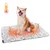 Nobleza Perro Cojín Manta Autocalefactora para Perros y Gatos Nobleza Perro Cojín Manta Autocalefactora para Perros y Gatos