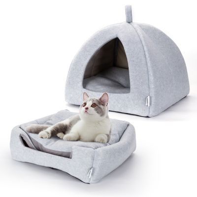 Nobleza Gato Cueva