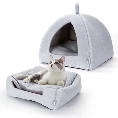 Nobleza Gato Cueva Nobleza Gato Cueva
