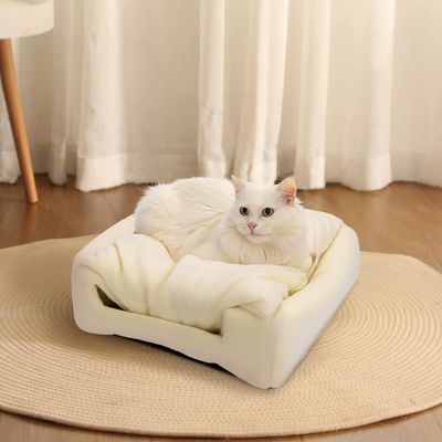 Nobleza Gato Cueva