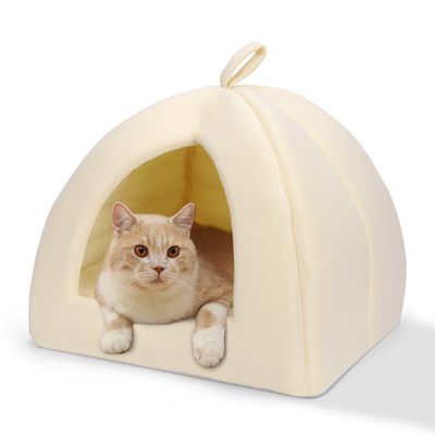 Nobleza Gato Cueva