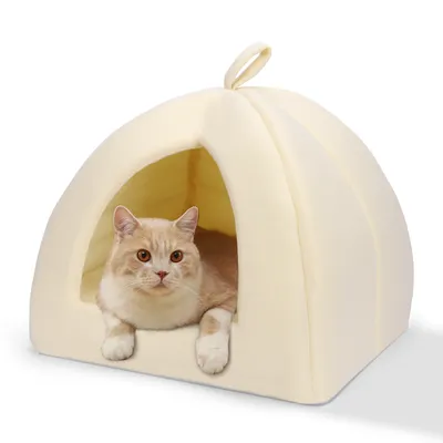 Nobleza Gato Cueva Nobleza Gato Cueva