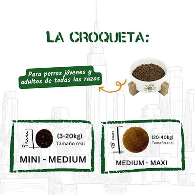 Lenda Urban Meadow Taste Cordero