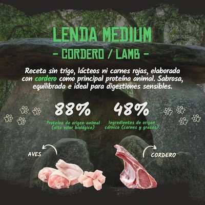 Lenda Adult Cordero