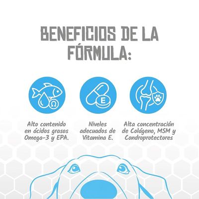 Lenda VET Dog Mobility & Joints