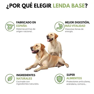 Lenda Professional Base Daily Food Lenda Professional Base Daily Food