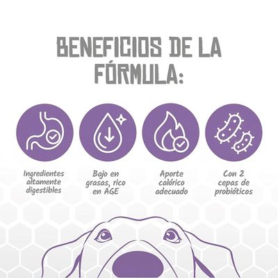 Lenda VET Dog Pancreatic