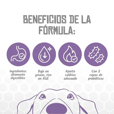 Lenda VET Dog Pancreatic Lenda VET Dog Pancreatic