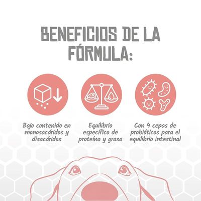 Lenda VET Dog Diabetic