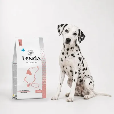 Lenda VET Dog Diabetic Lenda VET Dog Diabetic