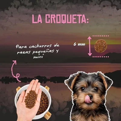 Lenda Mini Puppy First Bite Pollo Lenda Mini Puppy First Bite Pollo