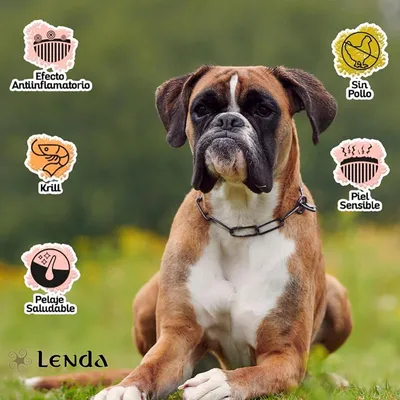 Lenda Nature Grain Free Pavo