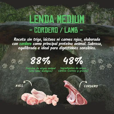 Lenda Adult Cordero Lenda Adult Cordero