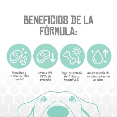 Lenda VET Dog Renal & Oxalate