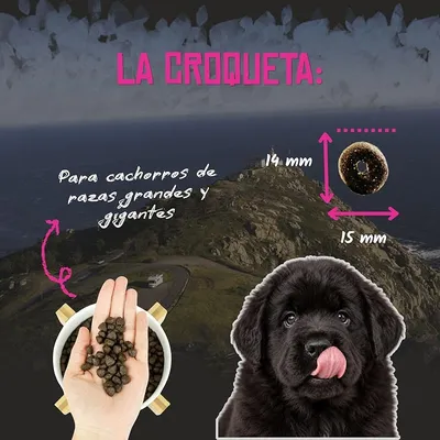 Lenda Puppy Maxi Pollo Lenda Puppy Maxi Pollo