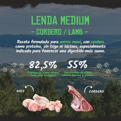 Lenda Adult Maxi Cordero