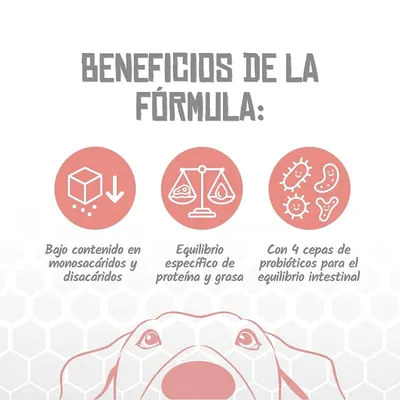 Lenda VET Dog Diabetic