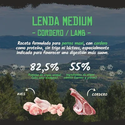 Lenda Adult Maxi Cordero Lenda Adult Maxi Cordero