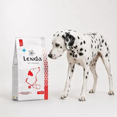 Lenda VET Dog Hepatic Lenda VET Dog Hepatic