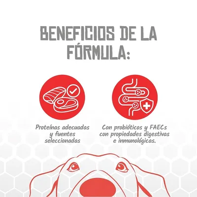 Lenda VET Dog Hepatic Lenda VET Dog Hepatic