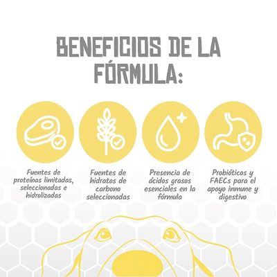 Lenda VET Dog Allergenic Solution