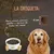 Lenda Senior Mobility Pavo Lenda Senior Mobility Pavo