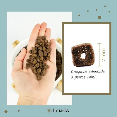 Lenda Mini Meat & Fish Aves y Pescado