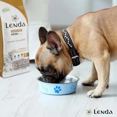 Lenda Mini Meat & Fish Aves y Pescado
