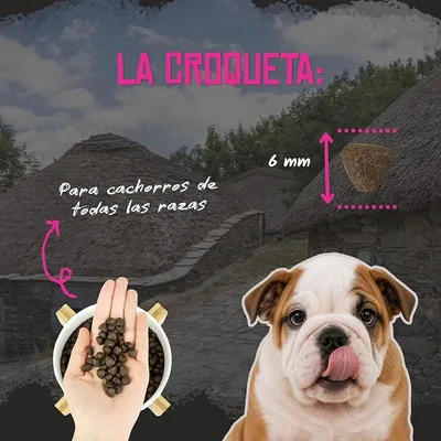 Lenda Puppy Medium Pollo Lenda Puppy Medium Pollo