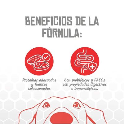 Lenda VET Dog Hepatic
