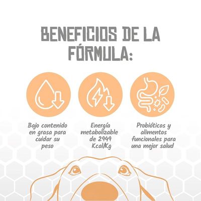 Lenda VET Dog Slimming & Sterilized