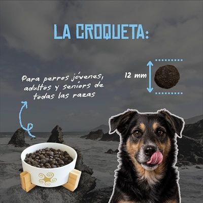 Lenda Nature Grain Free Atún