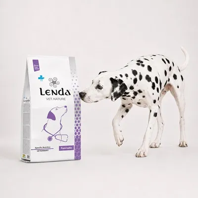 Lenda VET Dog Pancreatic Lenda VET Dog Pancreatic