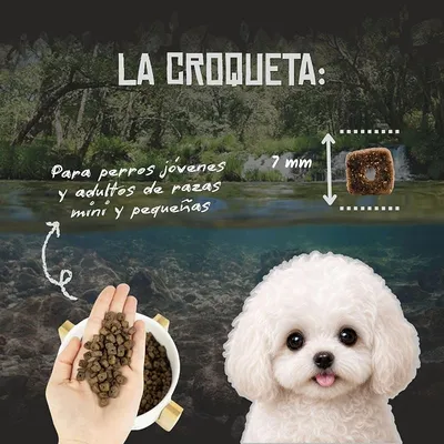 Lenda Mini Hypoallergenic Skin & Coat Grain Free Salmón Lenda Mini Hypoallergenic Skin & Coat Grain Free Salmón