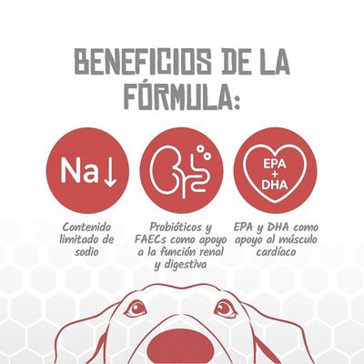 Lenda VET Dog Cardiac