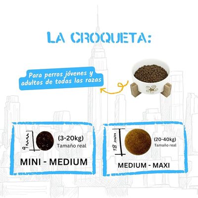 Lenda Urban Flavoured Diet Light